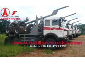 الشركة المصنعة لشاحنات قطع الأشجار بيبين الكونغو