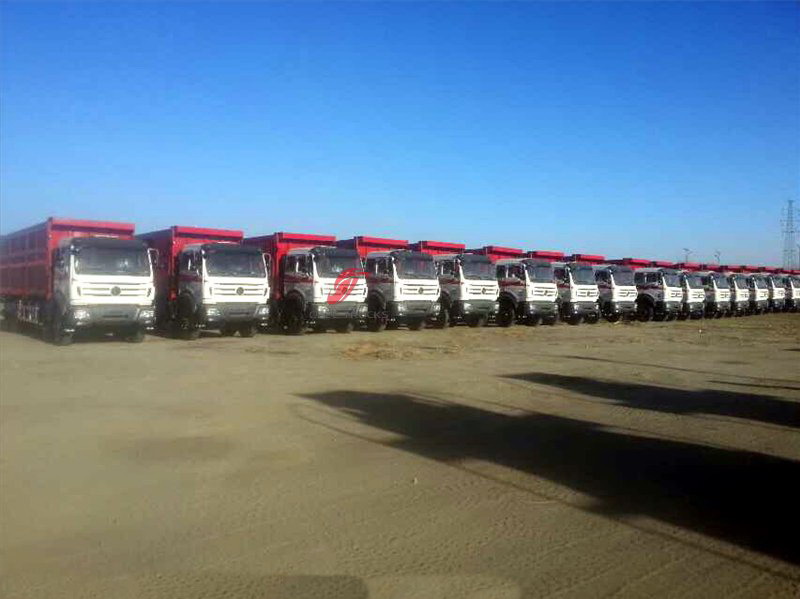 بيبين وحدات 50 تفريغ شاحنات التصدير إلى البلد إثيوبيا