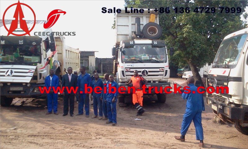 أفريقيا الكونغو بيبين شاحنة قلابة المورد