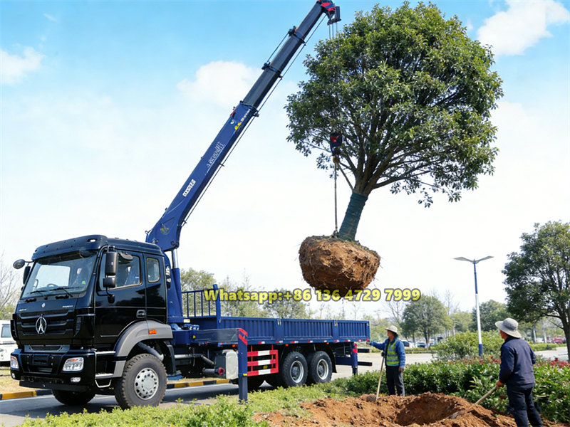Beiben truck mounted hydrulic crane applications