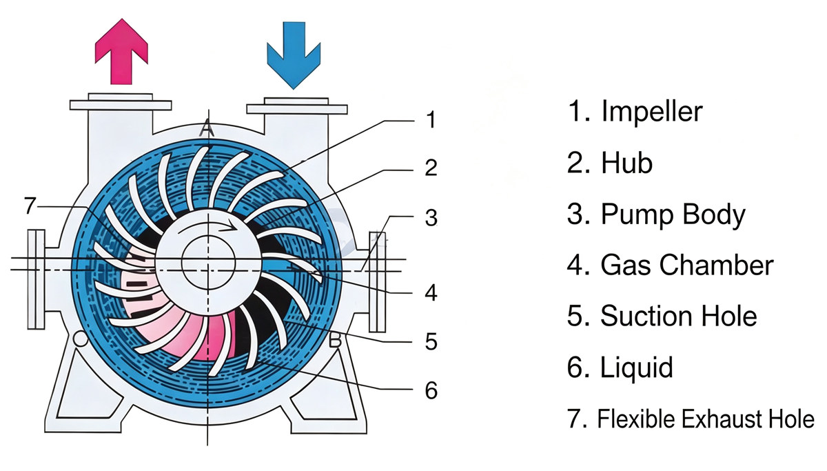 Water circulation vacuum pump structure