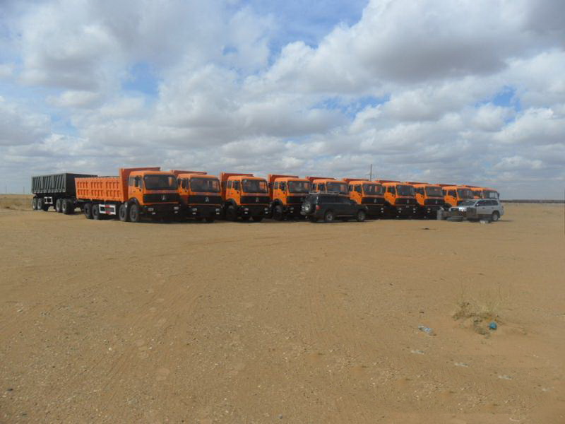 يتم إرسال وحدات 20 بيبين 50 ر تفريغ الشاحنات للعملاء موجوليا في ارليانهاوتي 